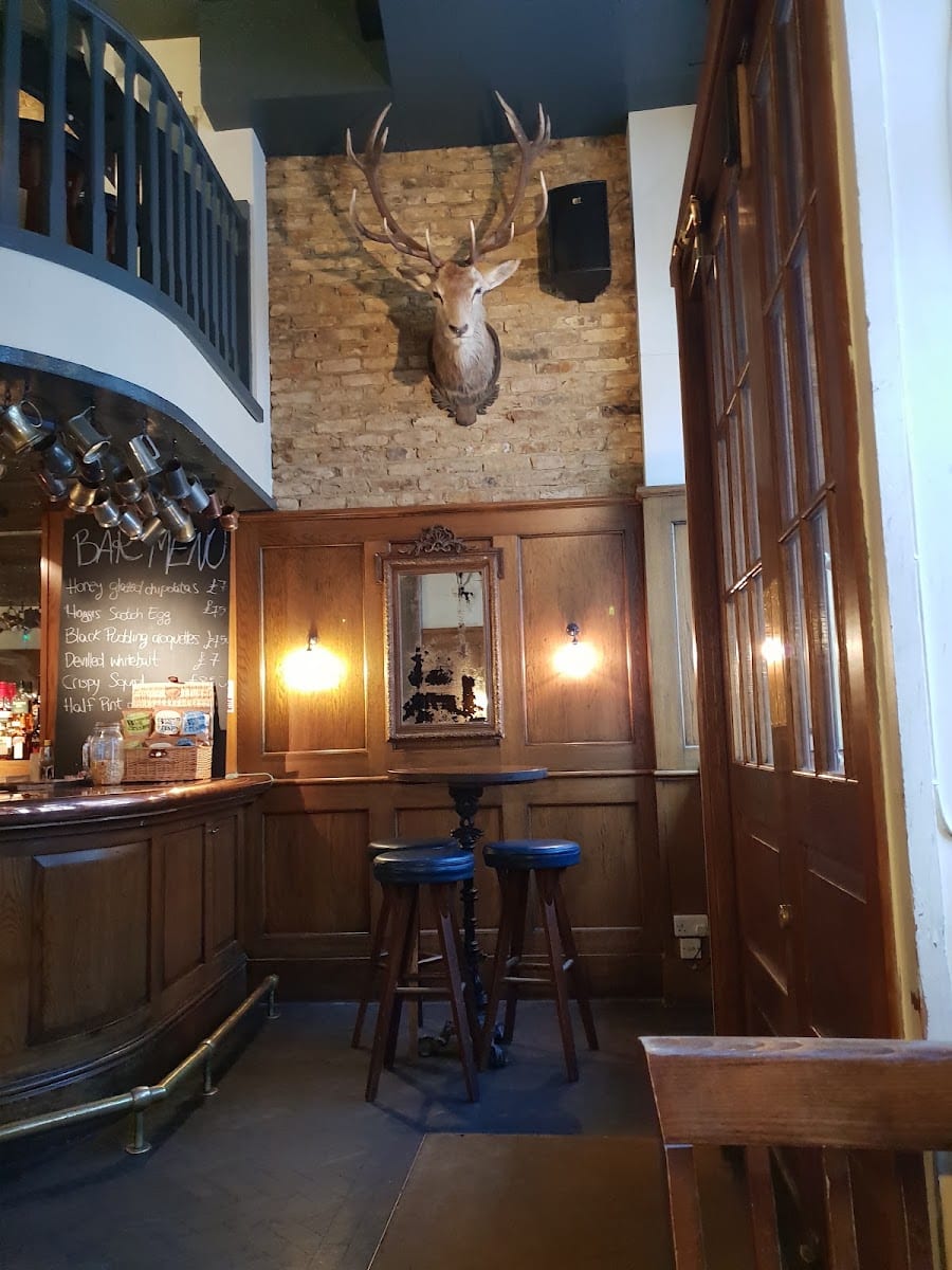 The Wild Swan, photo 3