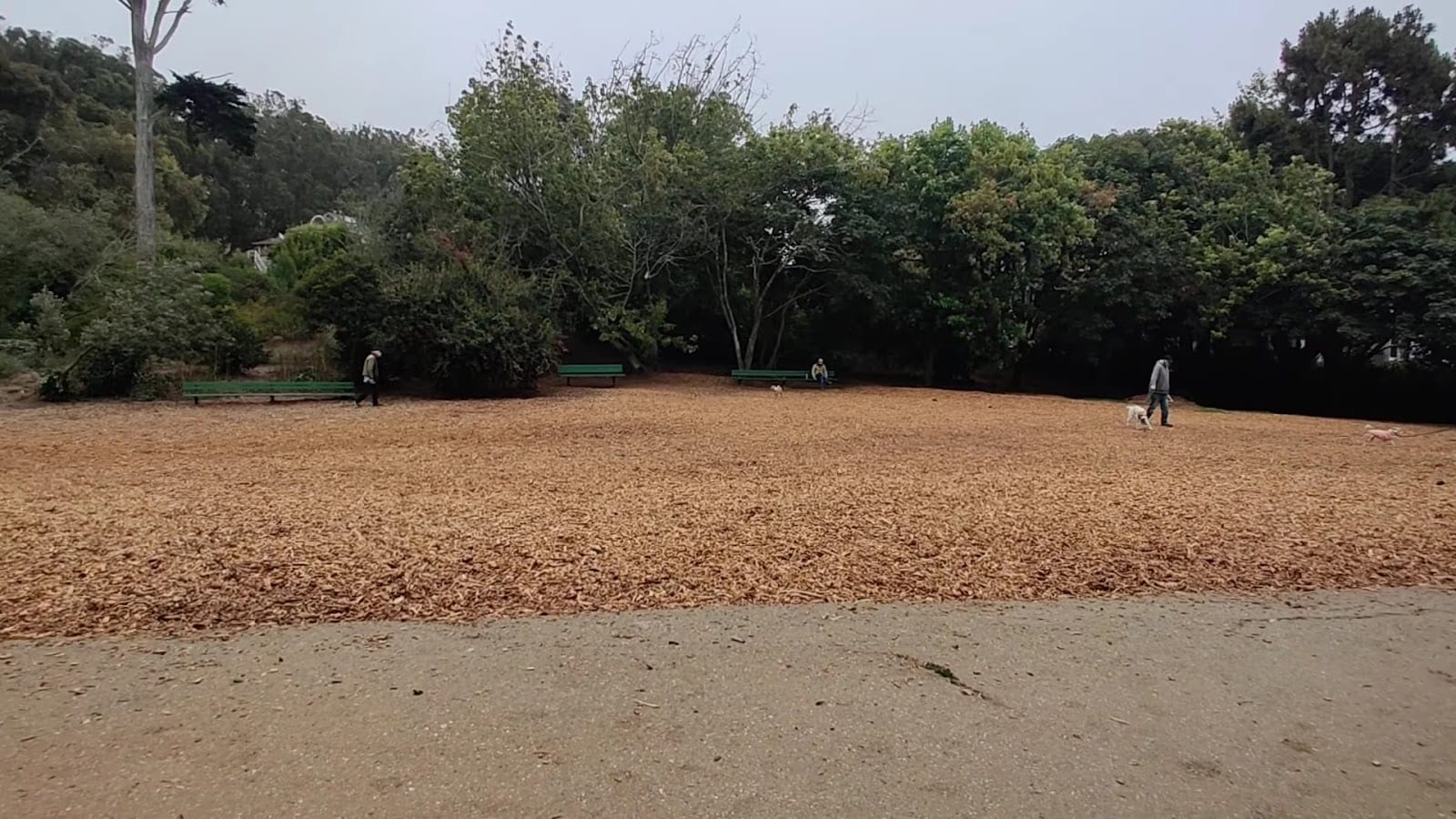 Mountain Lake Park Dog Play Area, photo 2