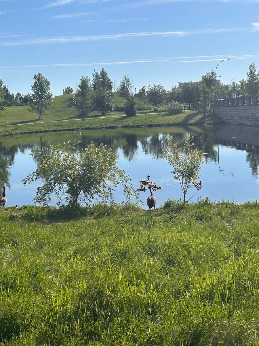 Emerald Hills Central Pond