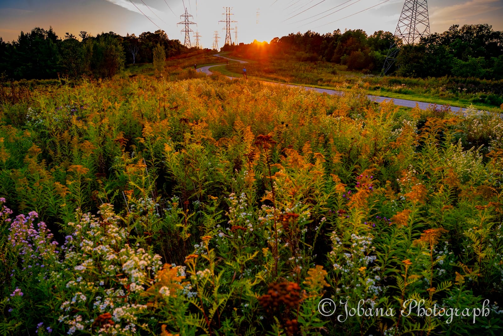 North York Bike Trail, photo 3