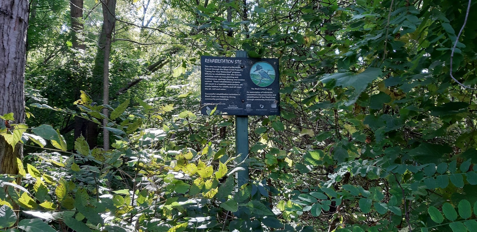 Benjamin Boake Greenbelt, photo 3
