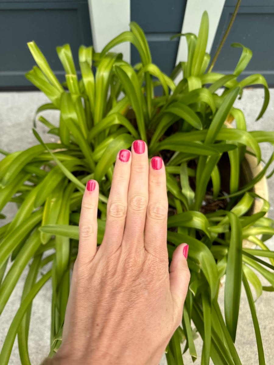 Sunflowers Nails in SF, photo 2