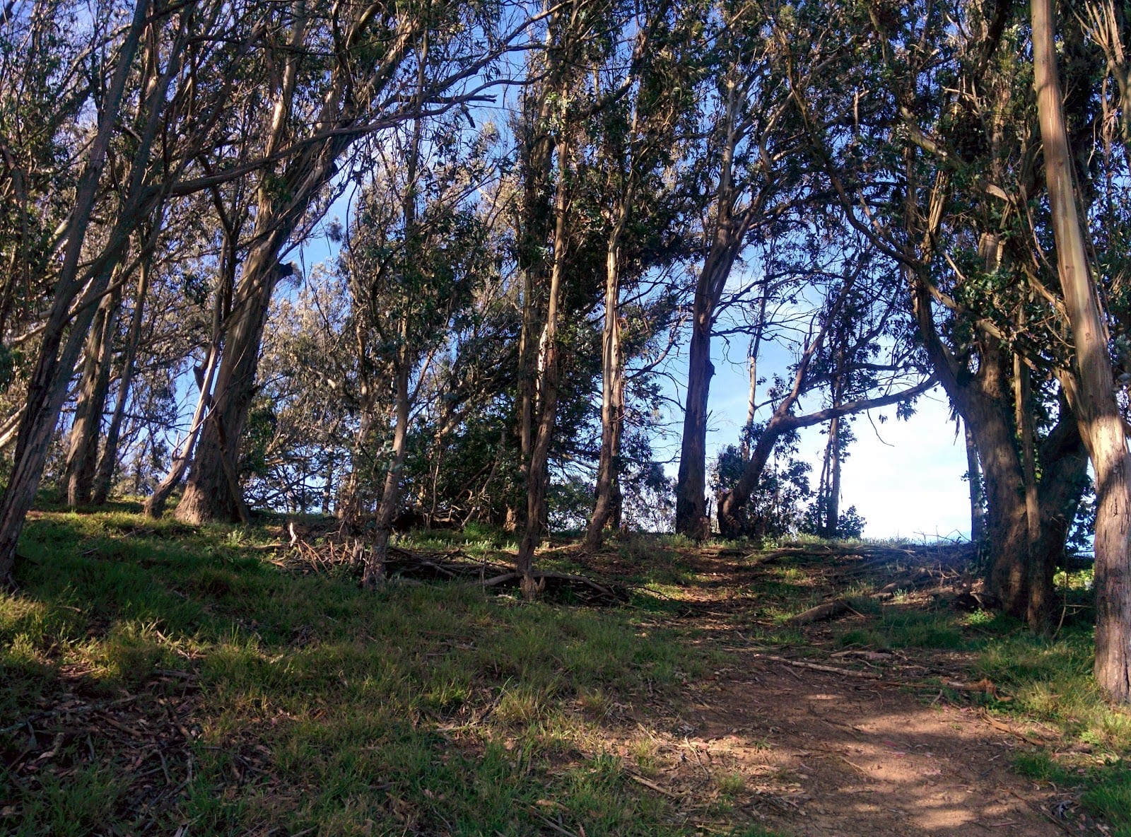 Dorothy Erskine Park, photo 2