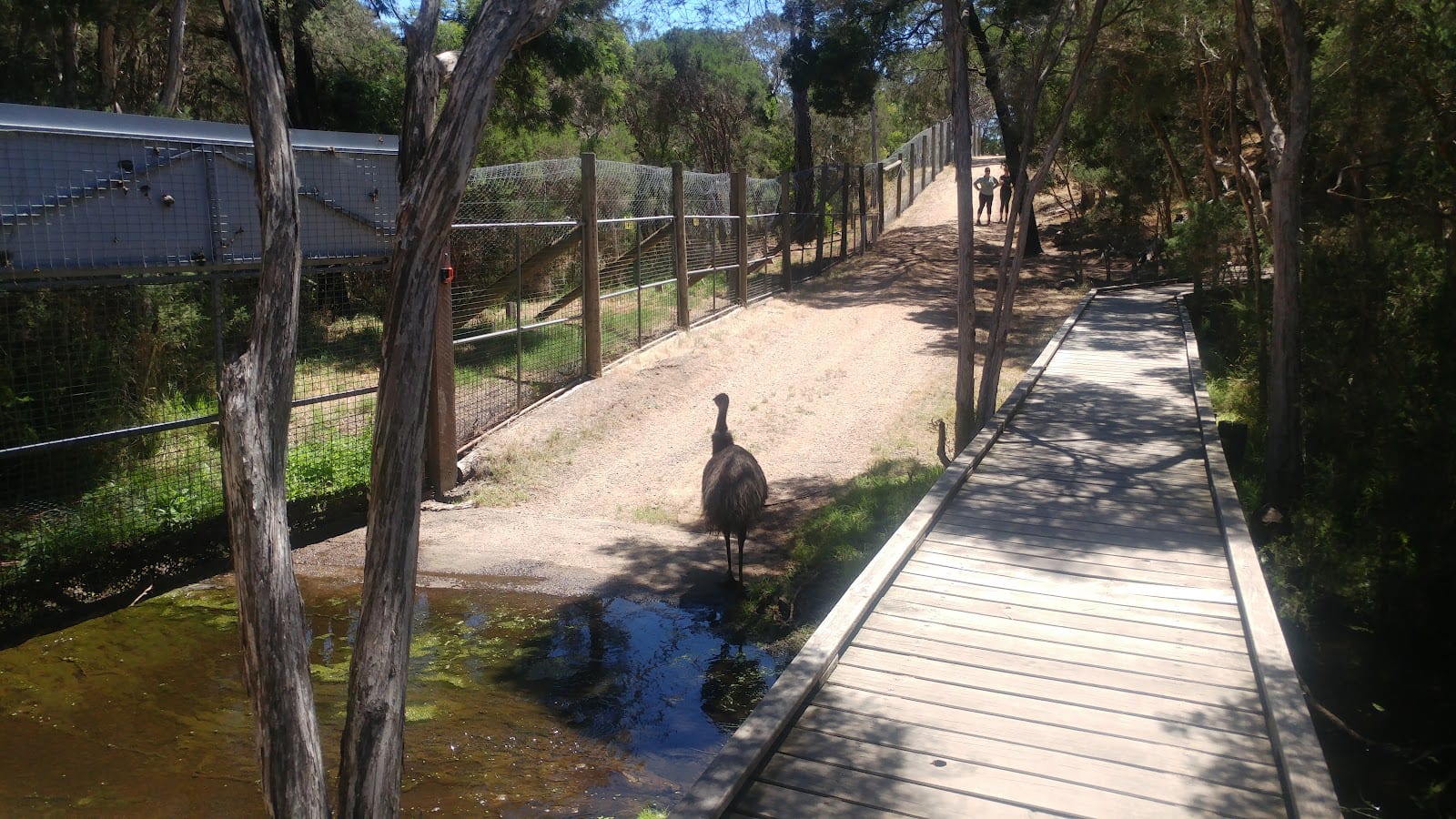 The Briars Wildlife Sanctuary, photo 3