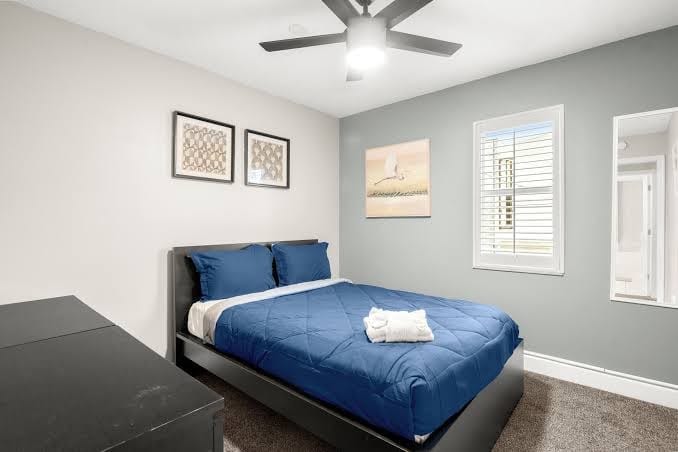 Heart of Hyde Park Home Near Hyde Park Village, Convention, Hospital & Downtown!, photo 2