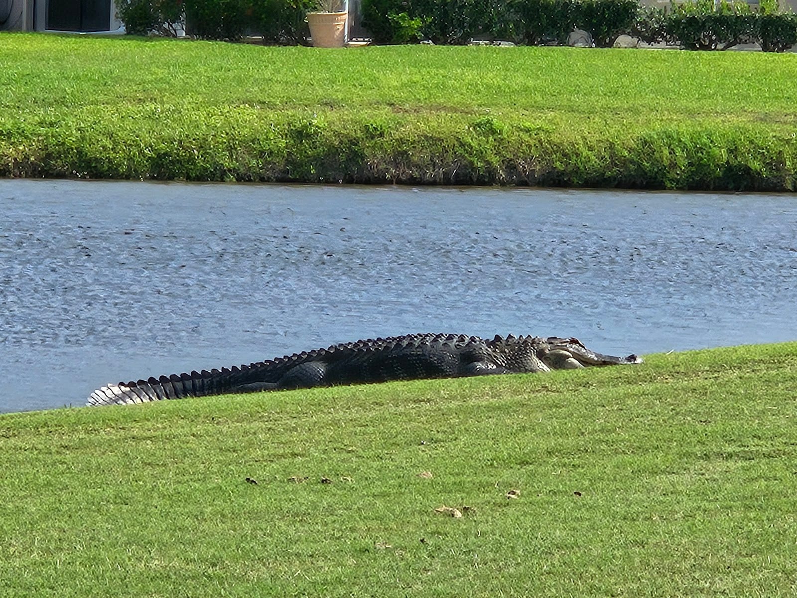 Heron Creek Information Center, photo 3