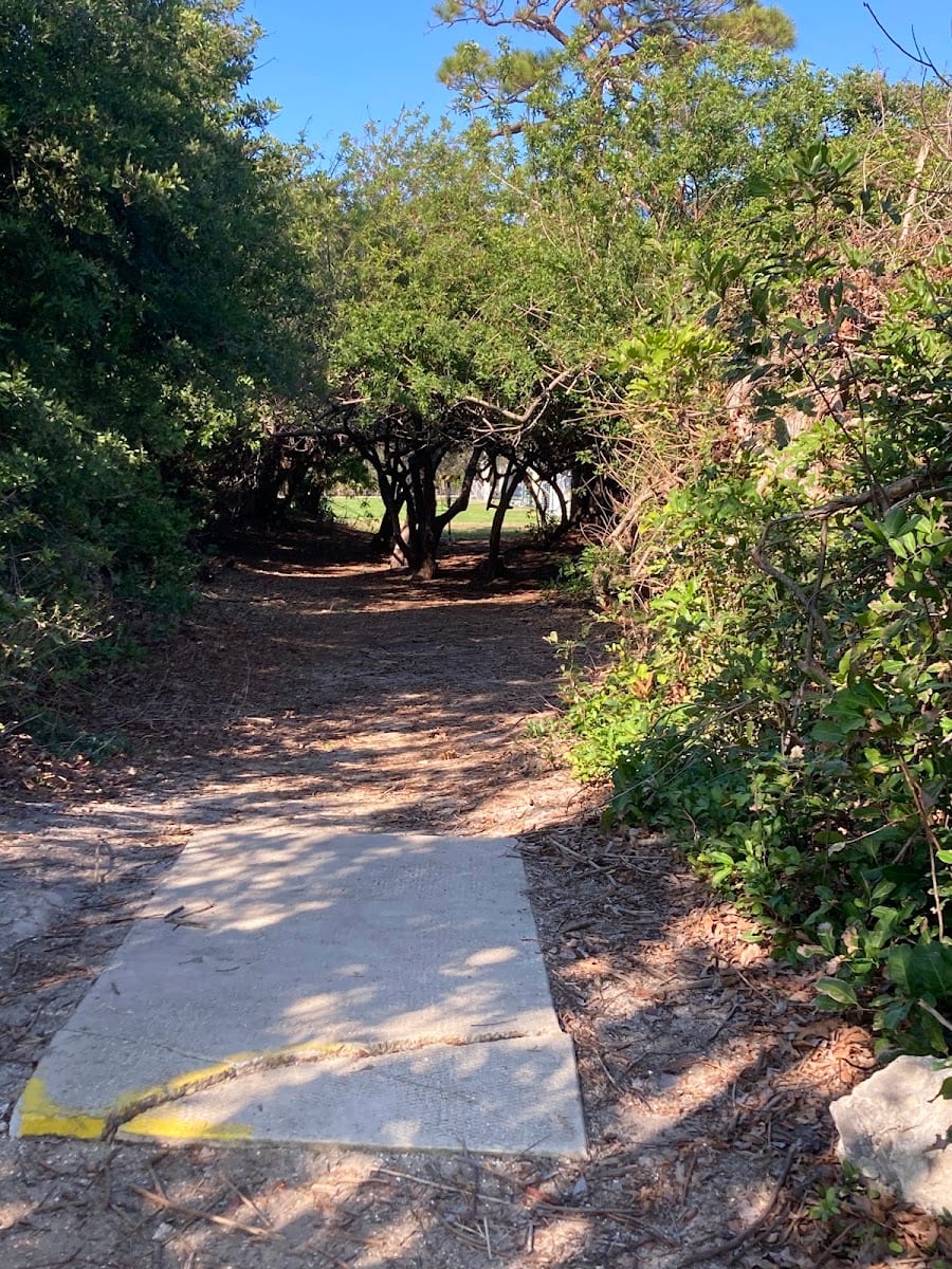 Wellfield Park Disc Golf Course @ Wellfield Park