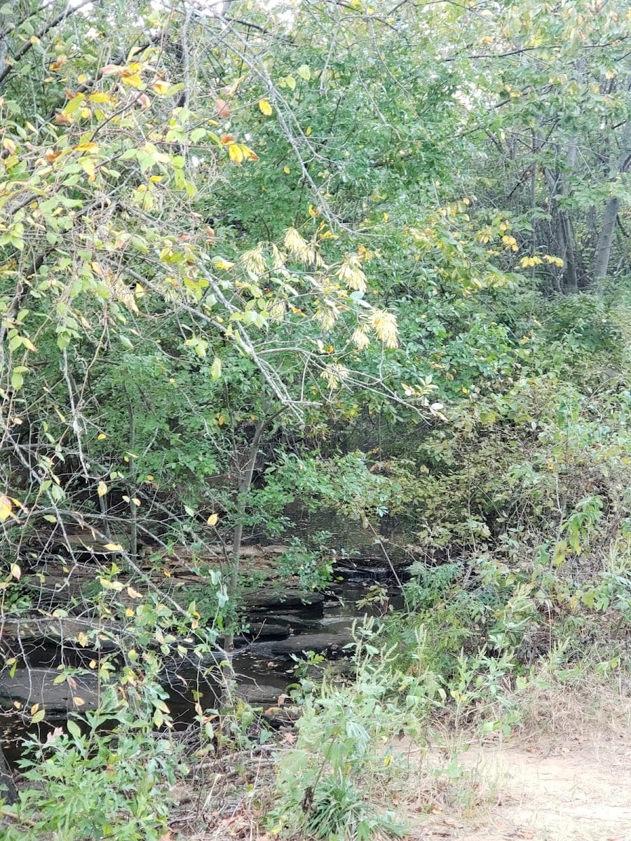 Lawson Park, photo 2