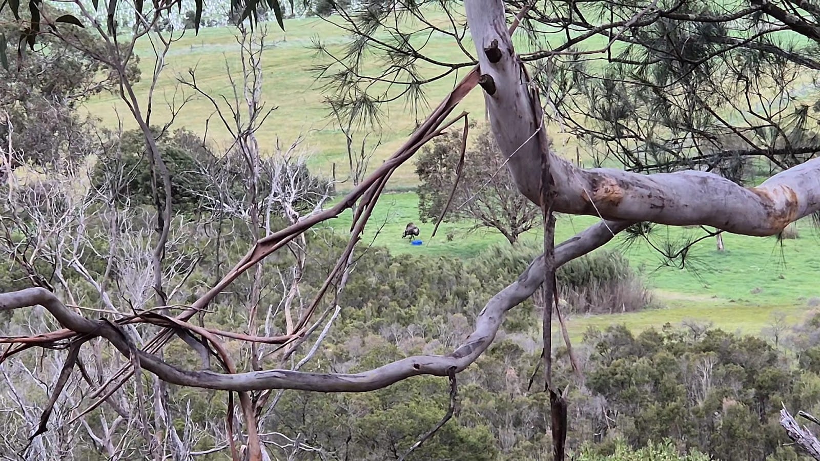 The Briars Wildlife Sanctuary, photo 2
