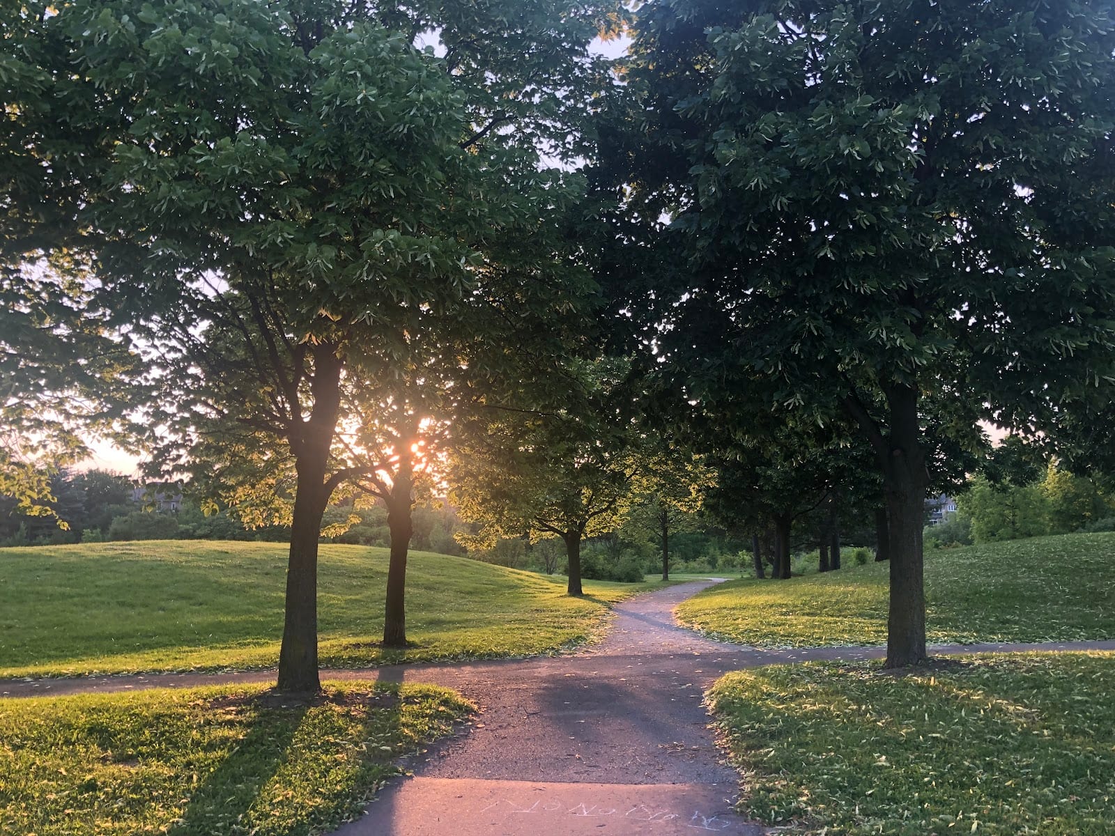 Russell Farm Park, photo 3