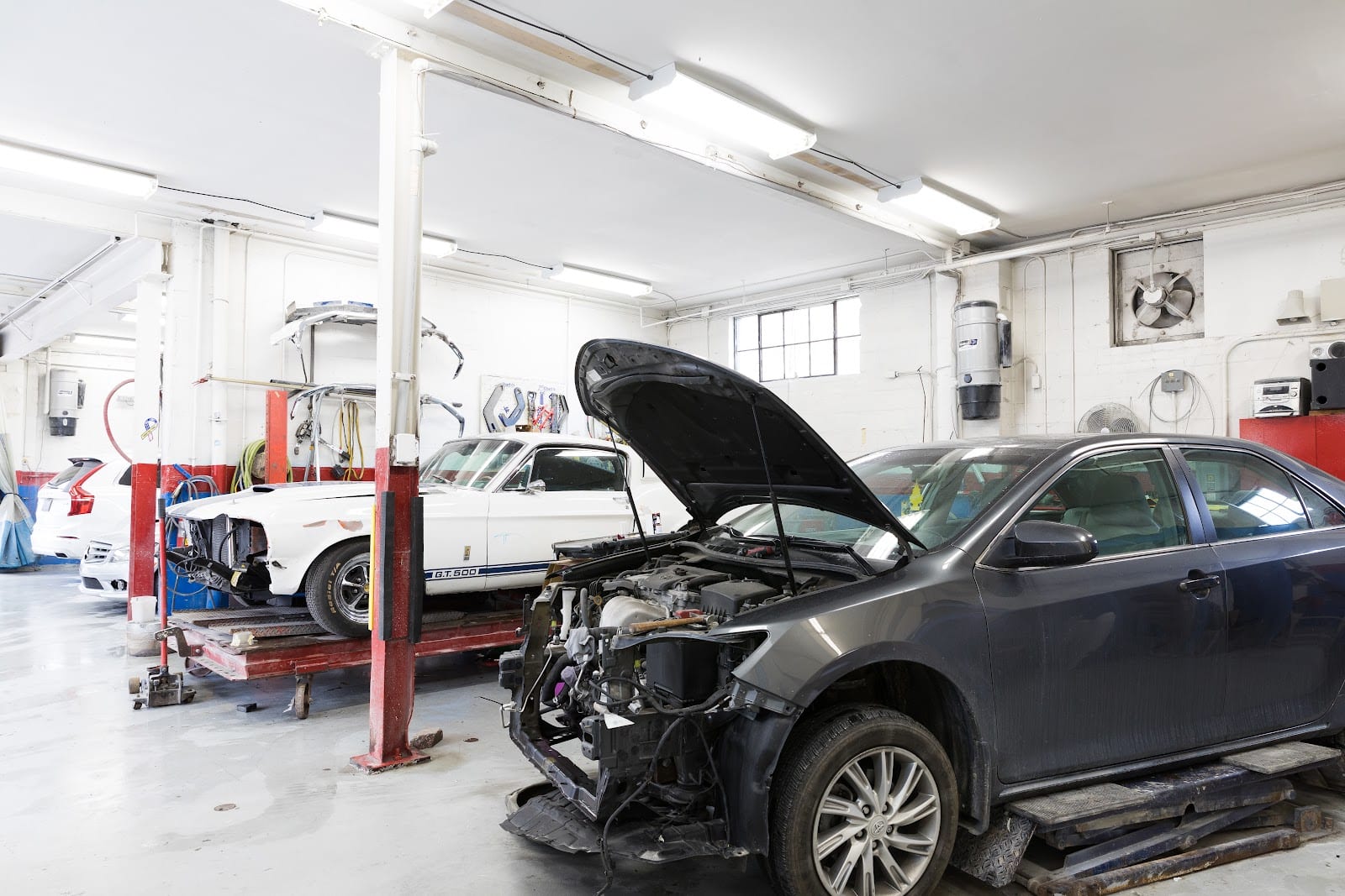 Collosus Auto Collision, photo 2