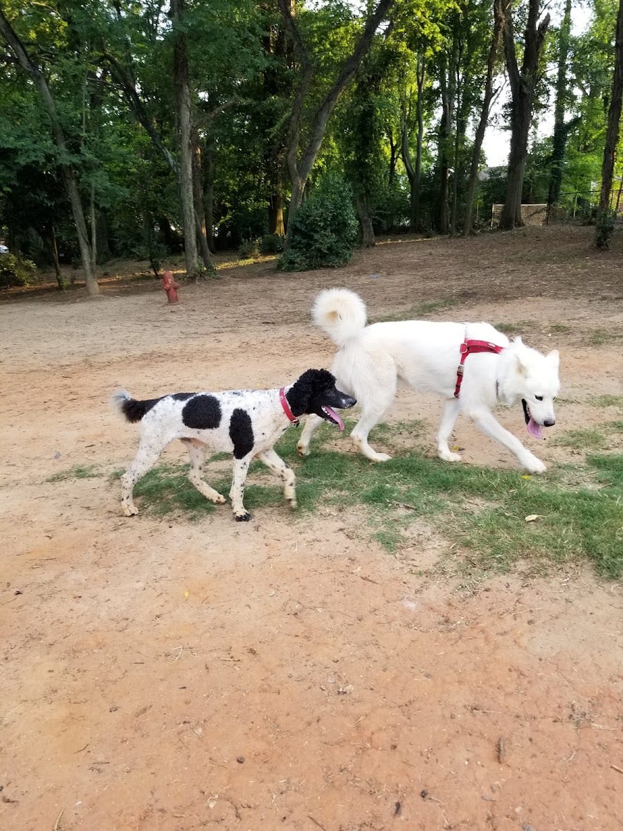 The Dog Park