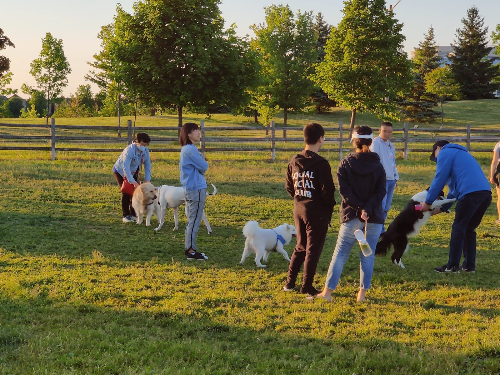 L’Amoreaux Off-Leash Dog Park