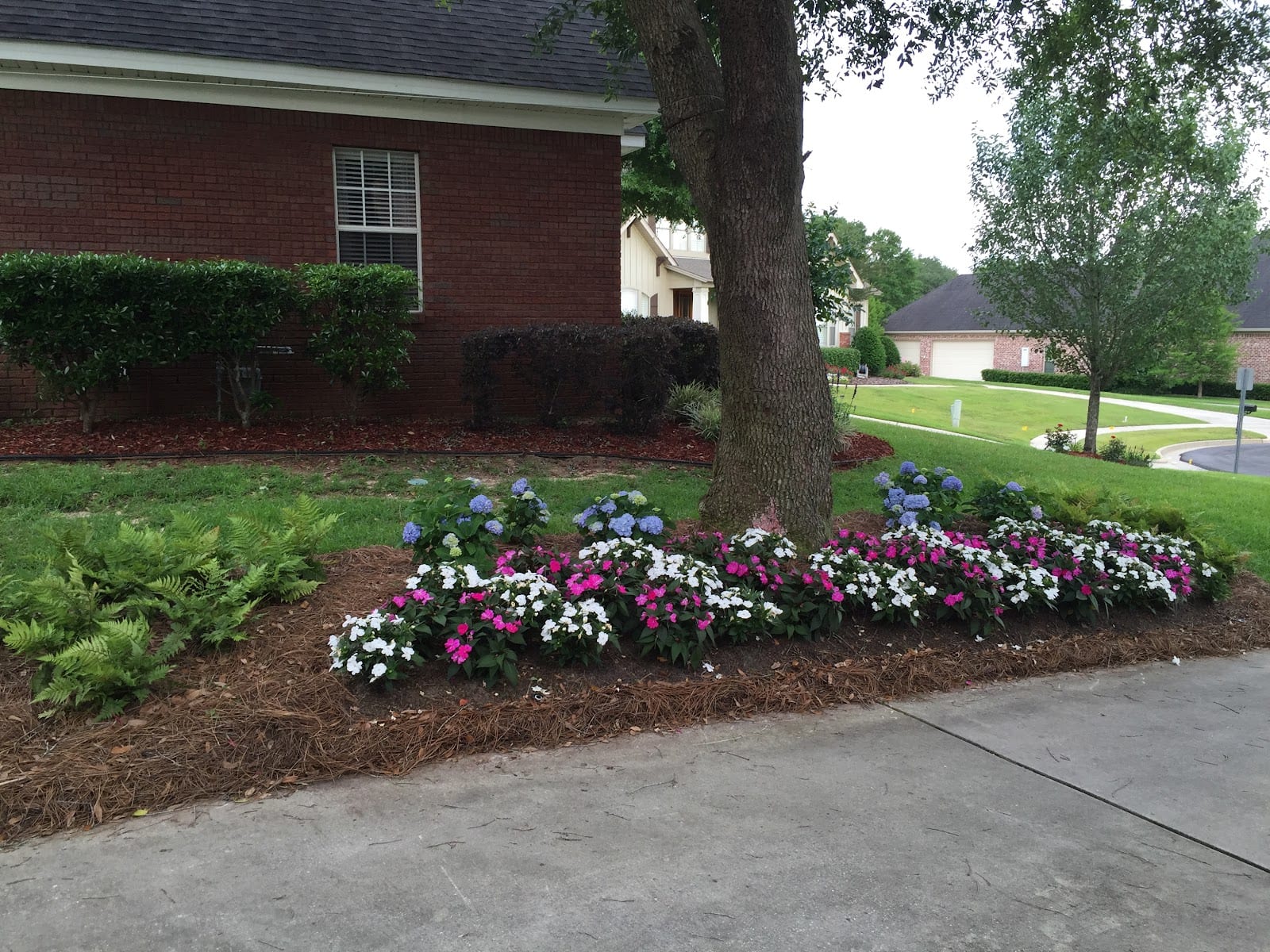 The Landscape Solution, photo 3