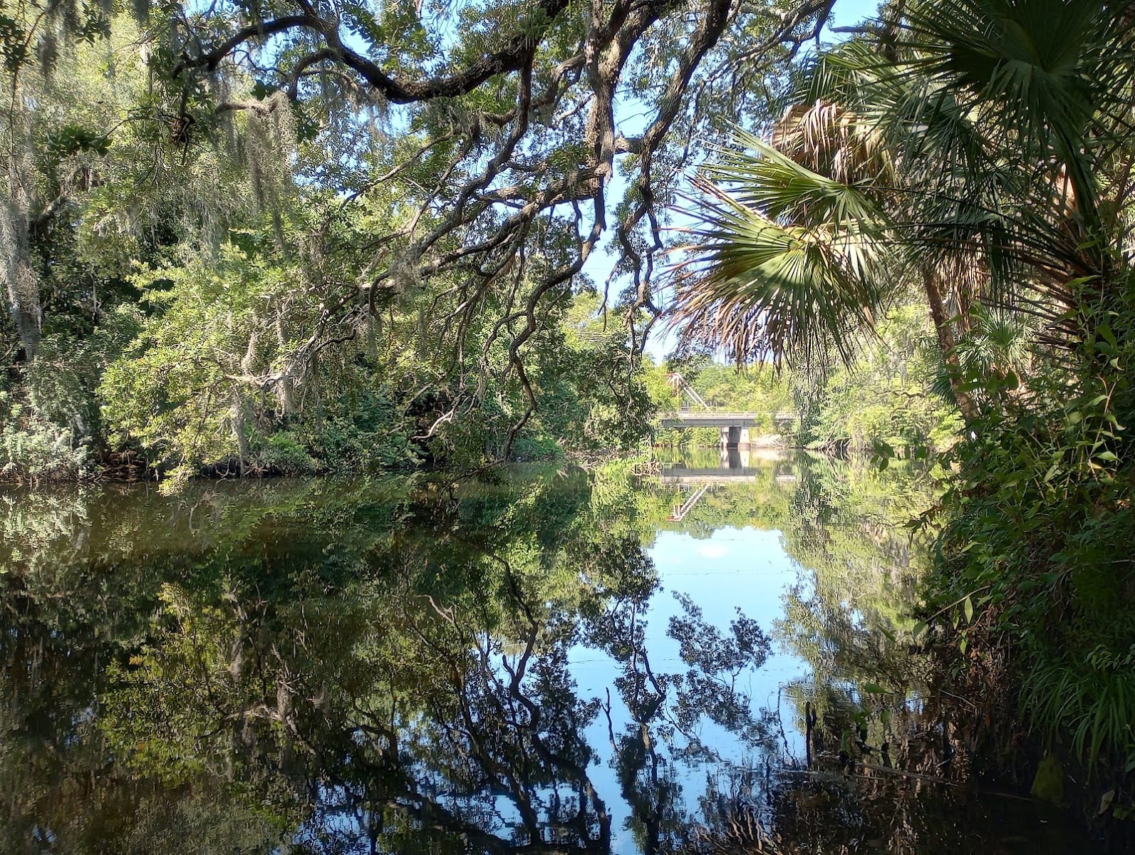 Rowlett Dog Park, photo 3