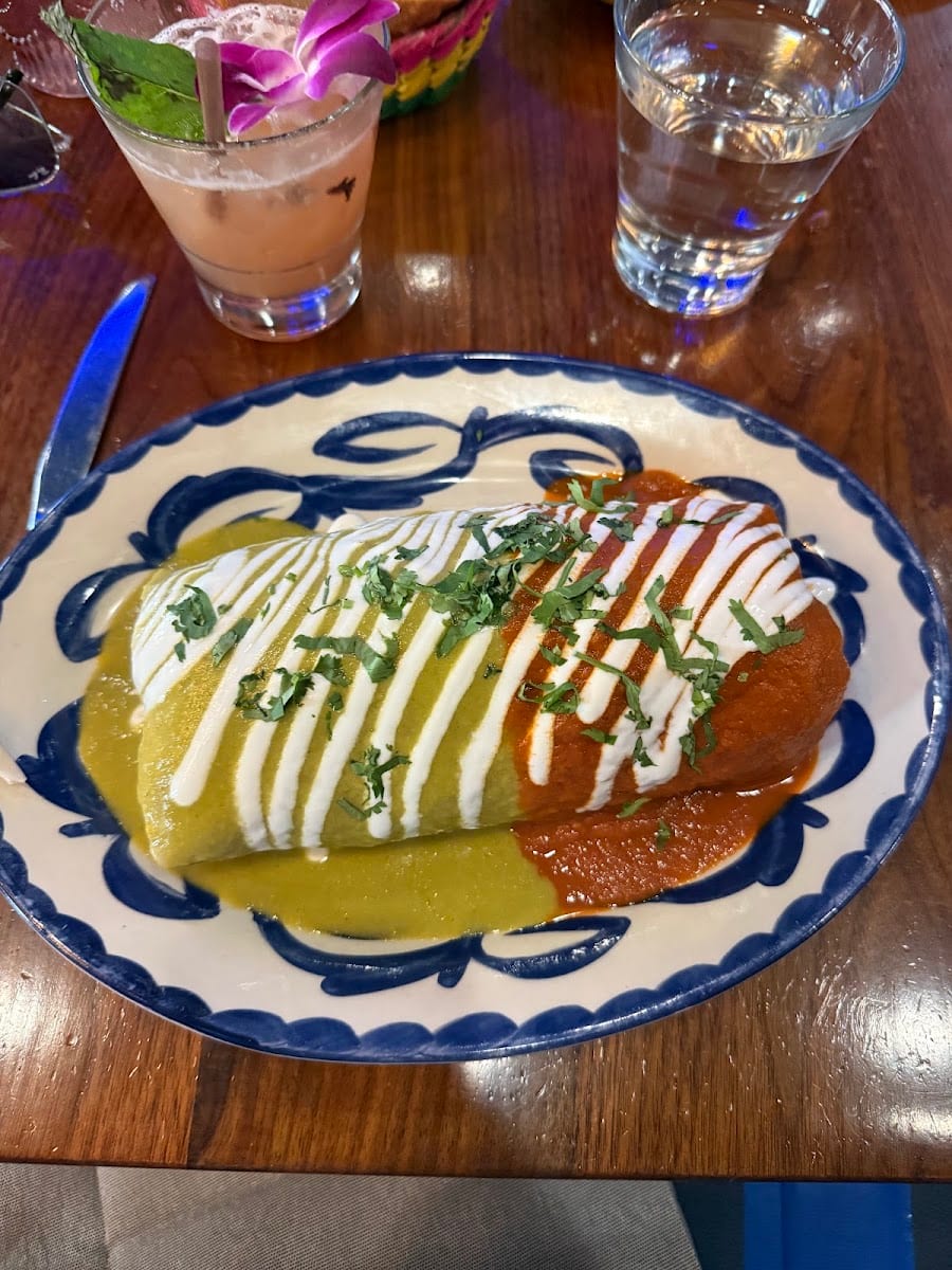 Los Agaves Napa, photo 4