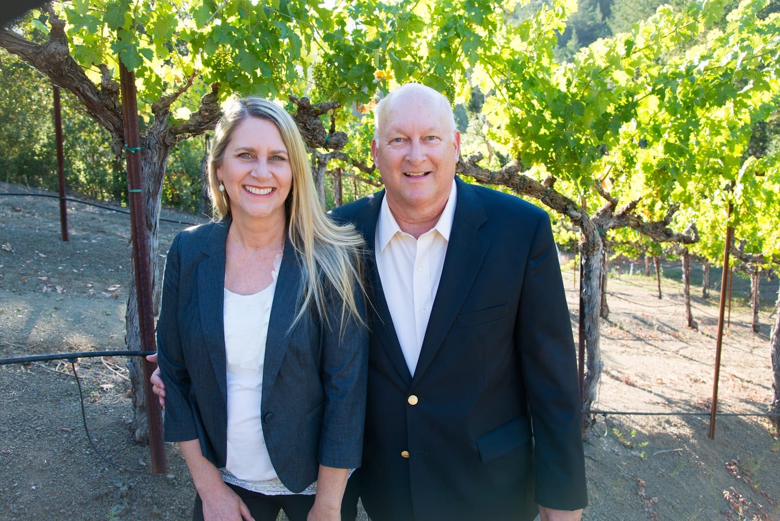 Napa Valley Homes Today, photo 3