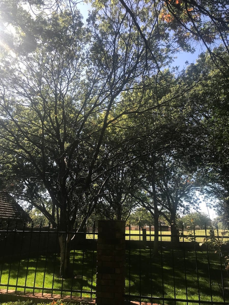 Tomcat's Tree Service LLC, photo 2