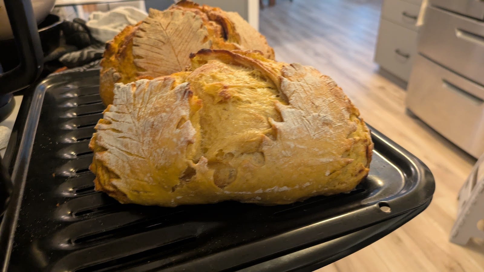 The Daily Dough, photo 4