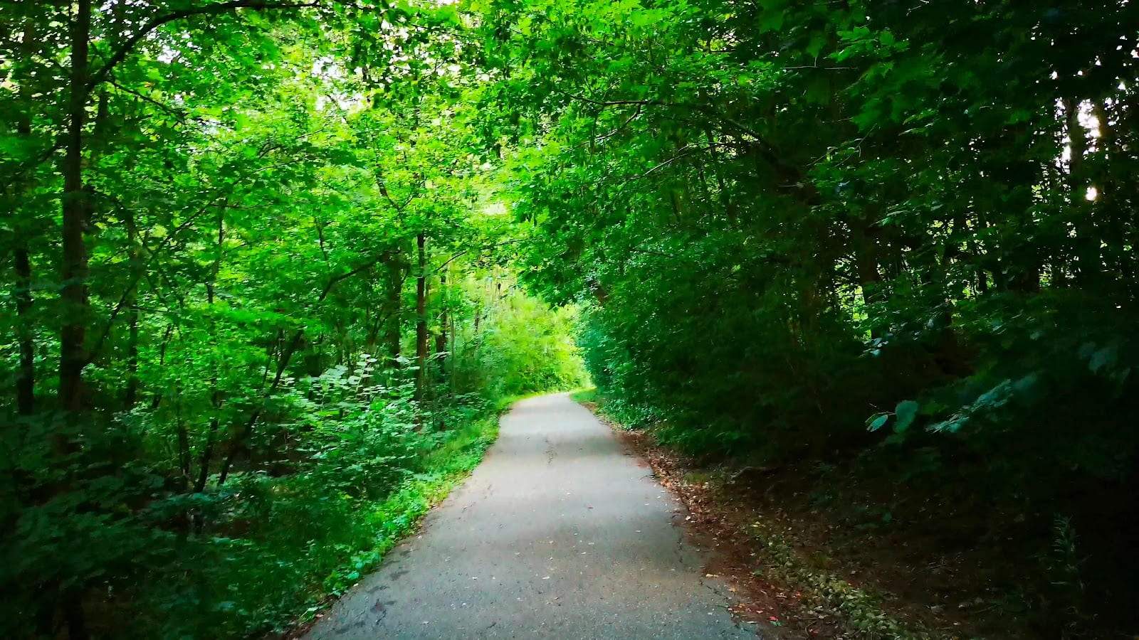 McNicoll Park, photo 2