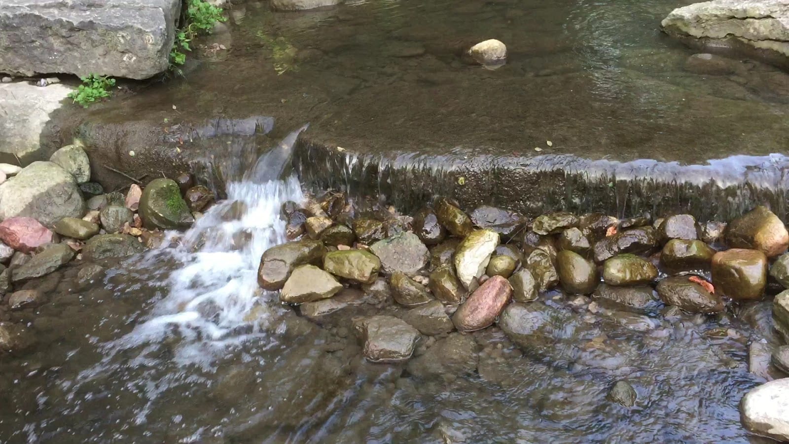 Leno Park, photo 2