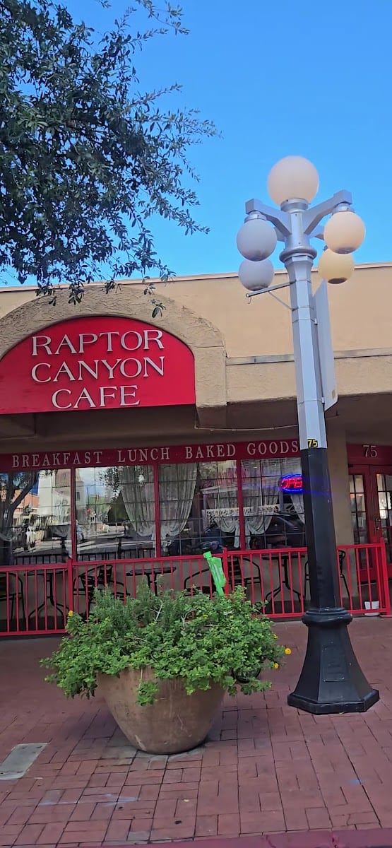 Raptor Canyon Cafe, photo 4