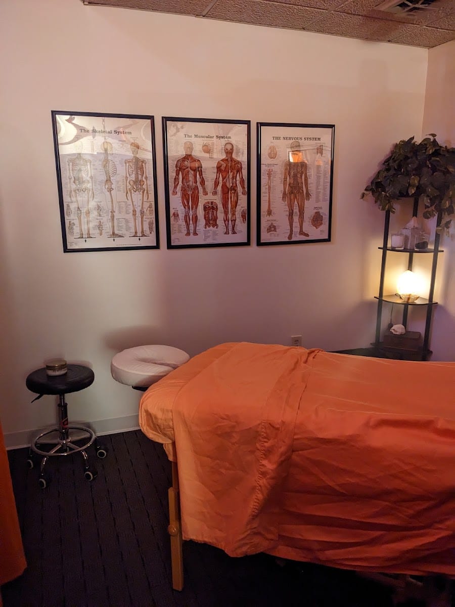 ActiveBody Functional Therapy | Sports Massage | Sarasota FL, photo 4