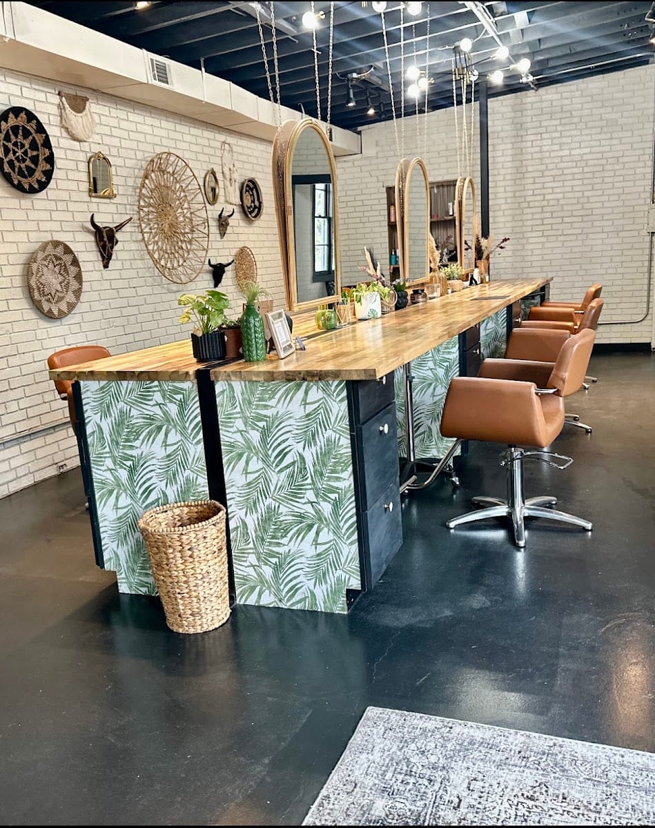 Elevated Salon