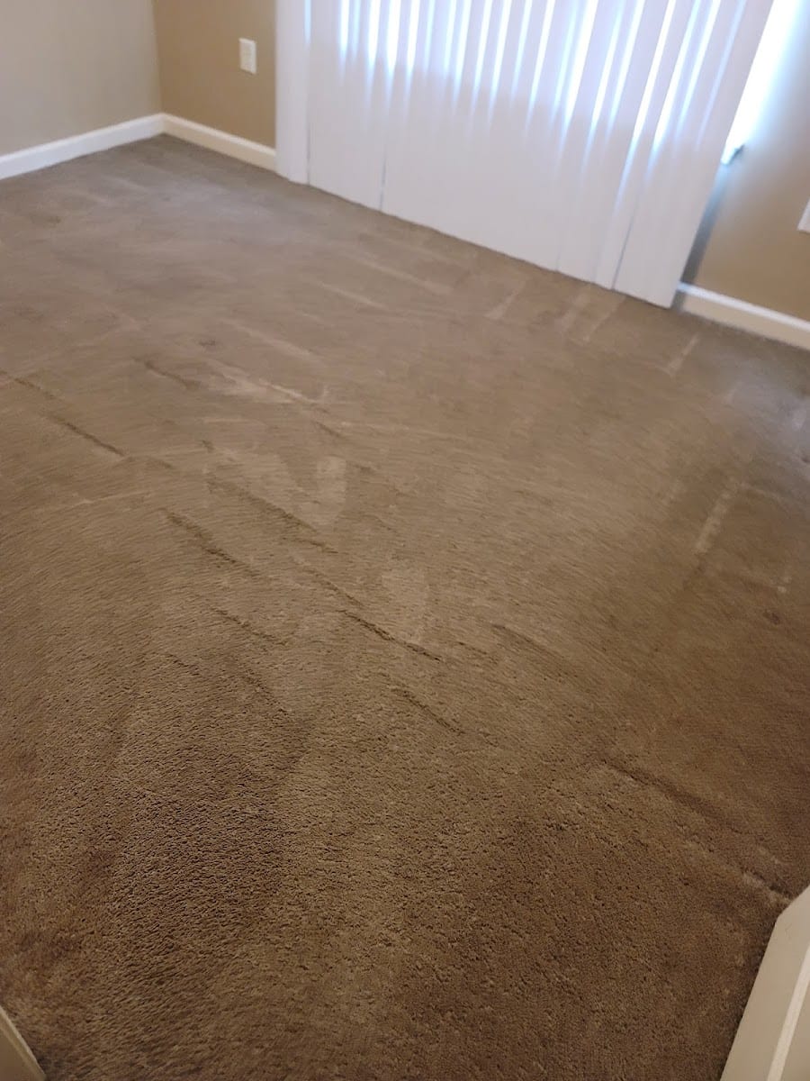 Nu Look Carpet & Tile Cleaning, photo 2