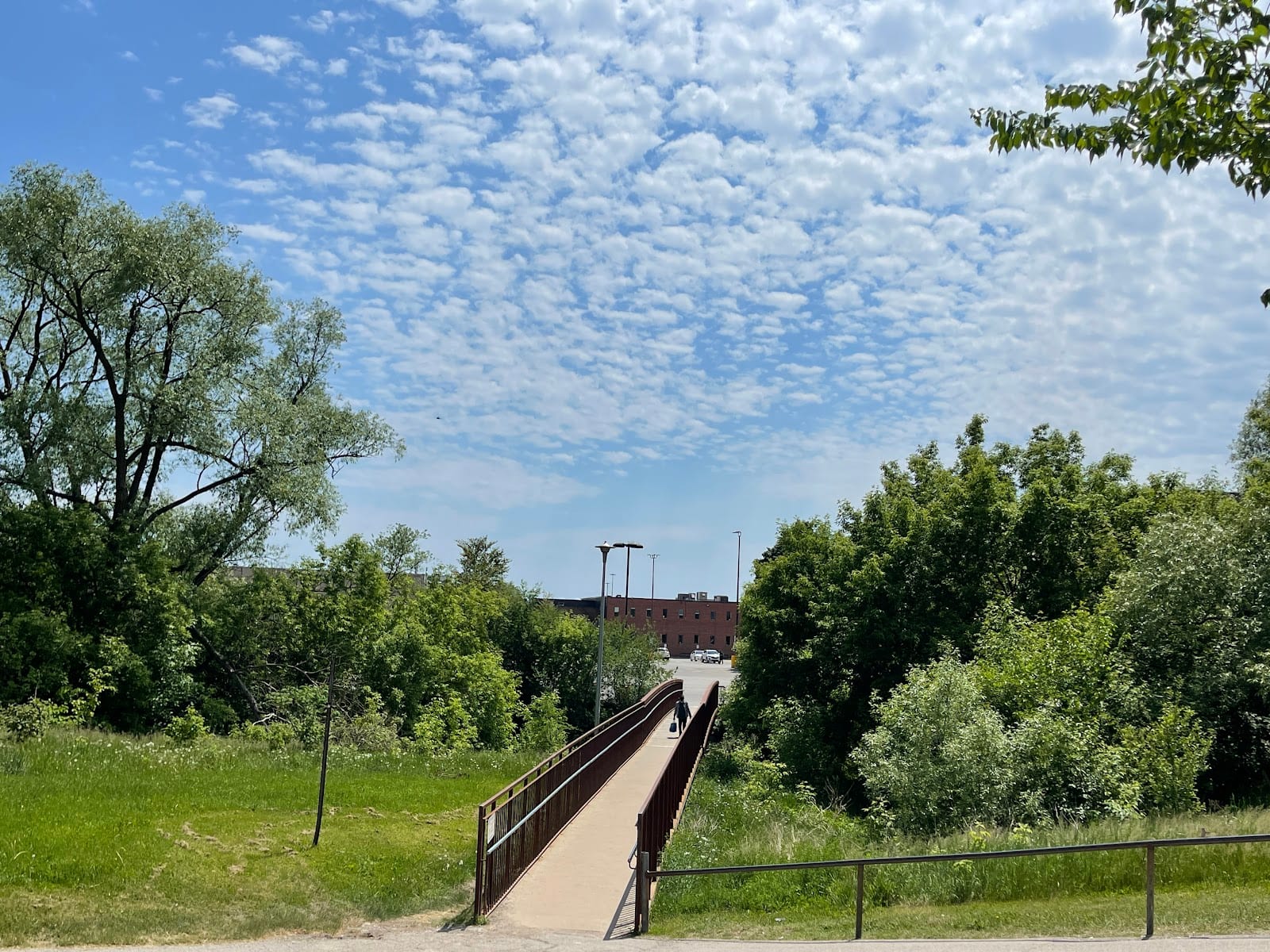 Chalkfarm Park
