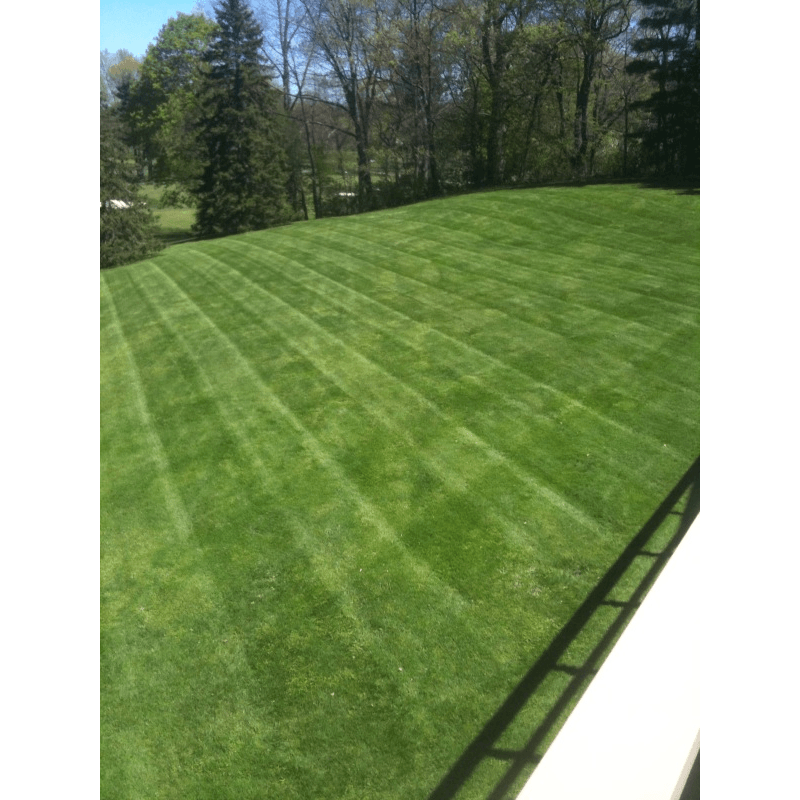 Murphy's Lawn & Landscaping, photo 3