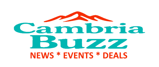 Cambria Buzz