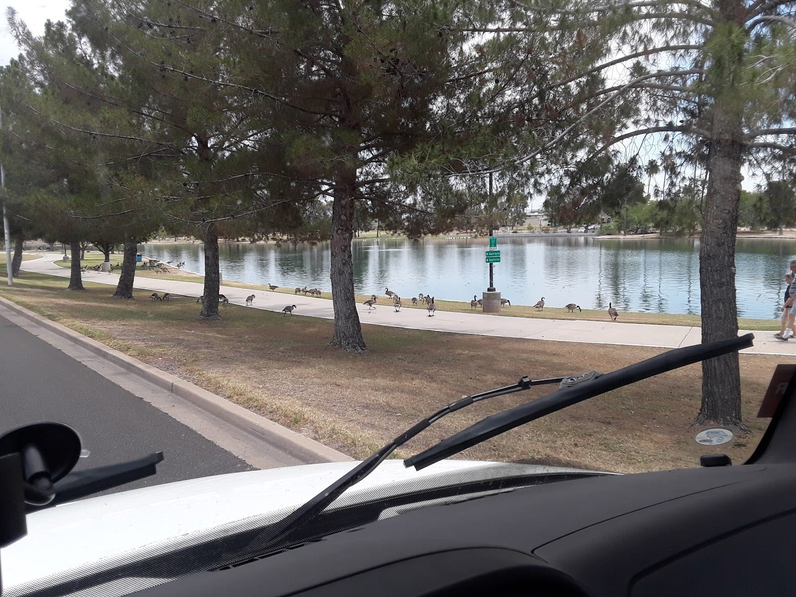 Agua Linda Park, photo 3
