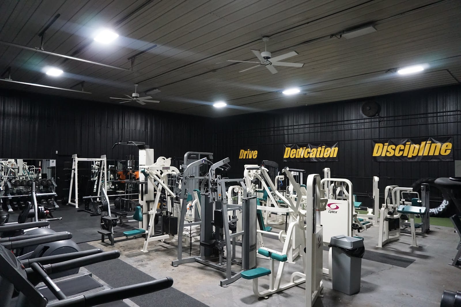 3D Fitness