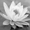 Water Lily Massage & Spa