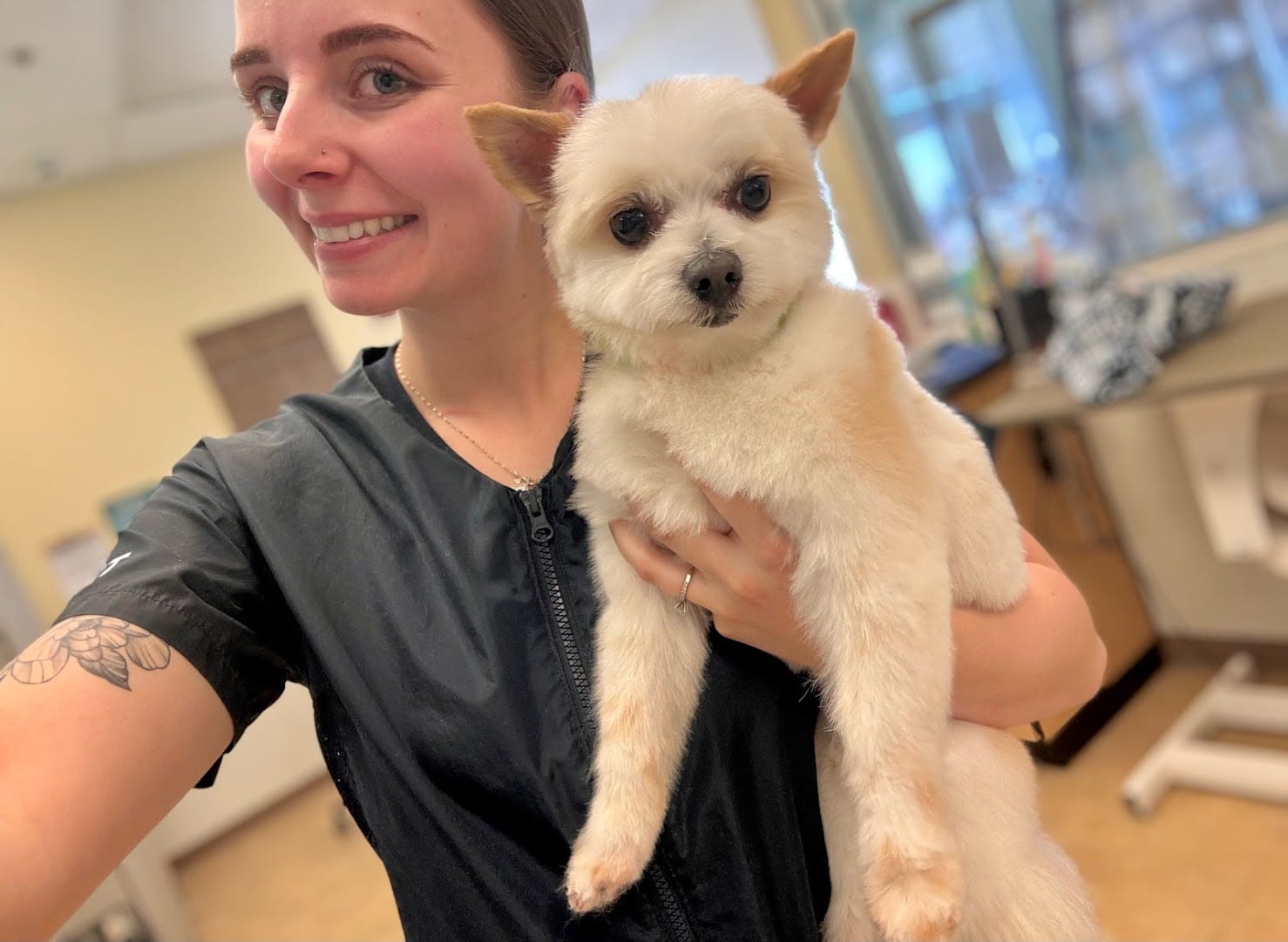Aria’s Pawsitive Grooming LLC, photo 3