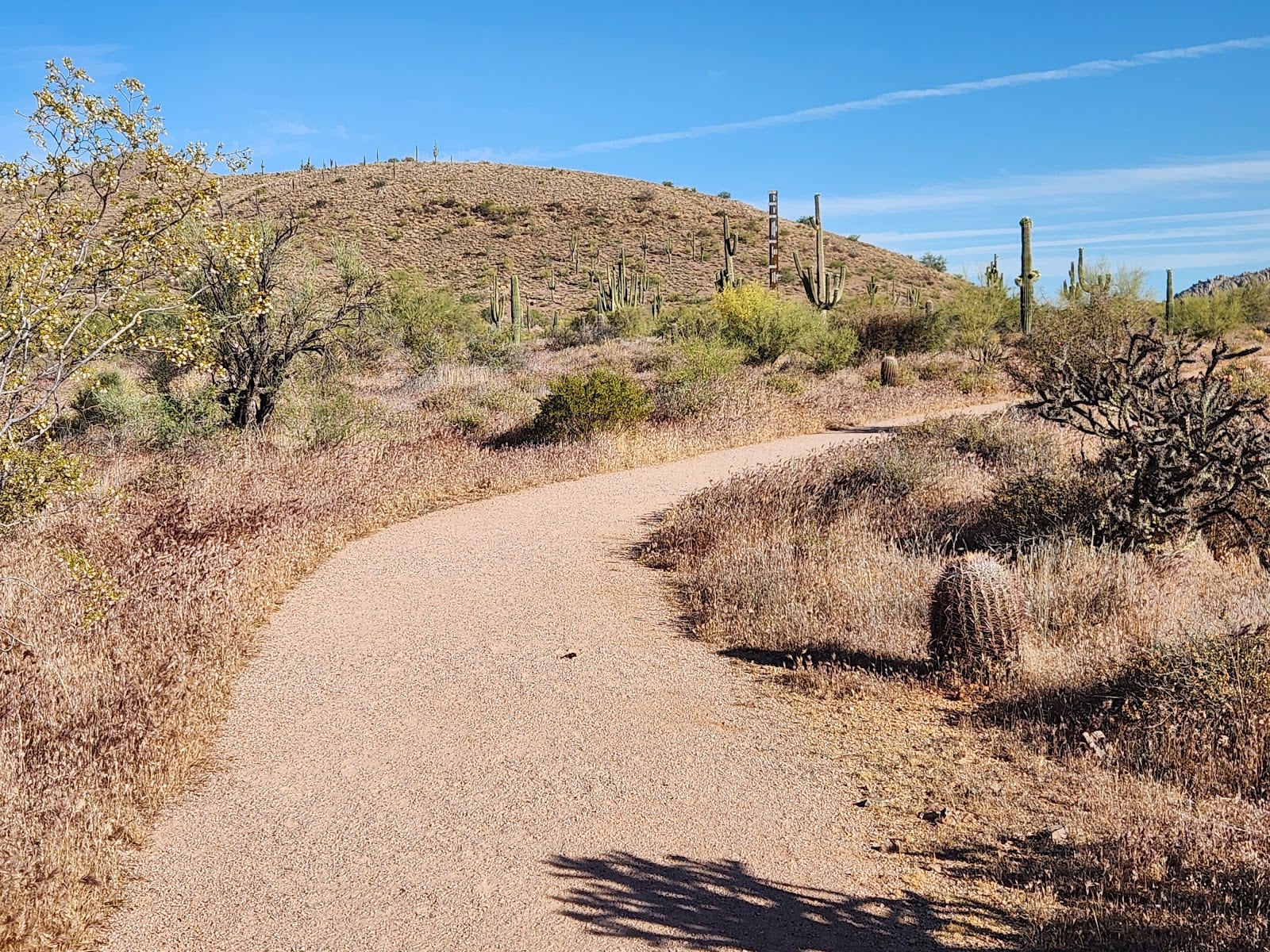 Fraesfield Trailhead - Scottsdale McDowell Sonoran Preserve, photo 3