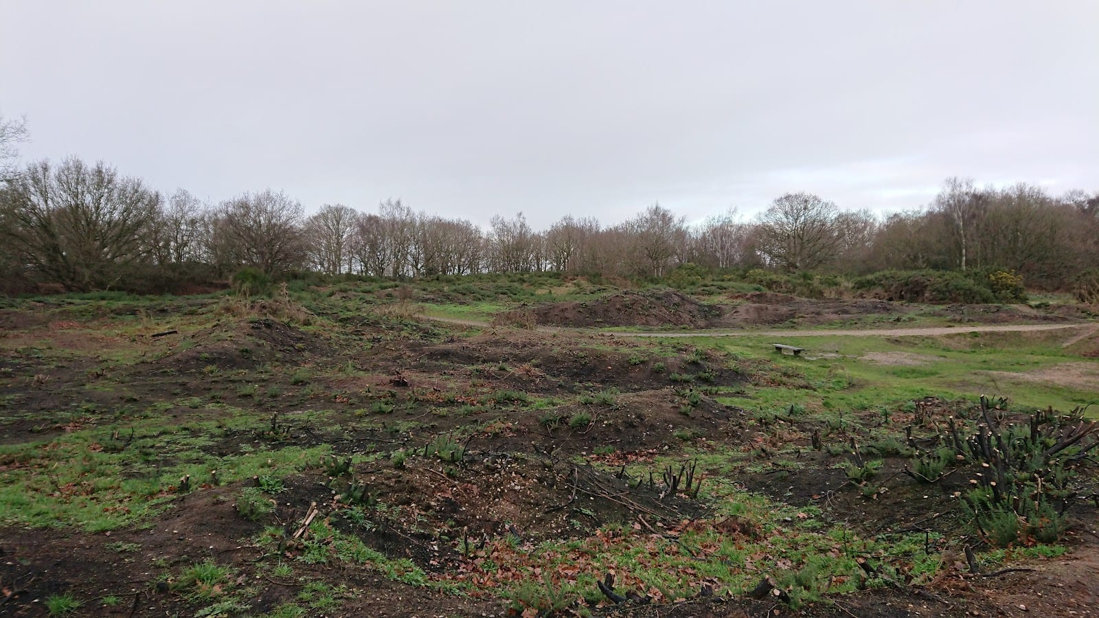 Mousehold Heath Public Car Park