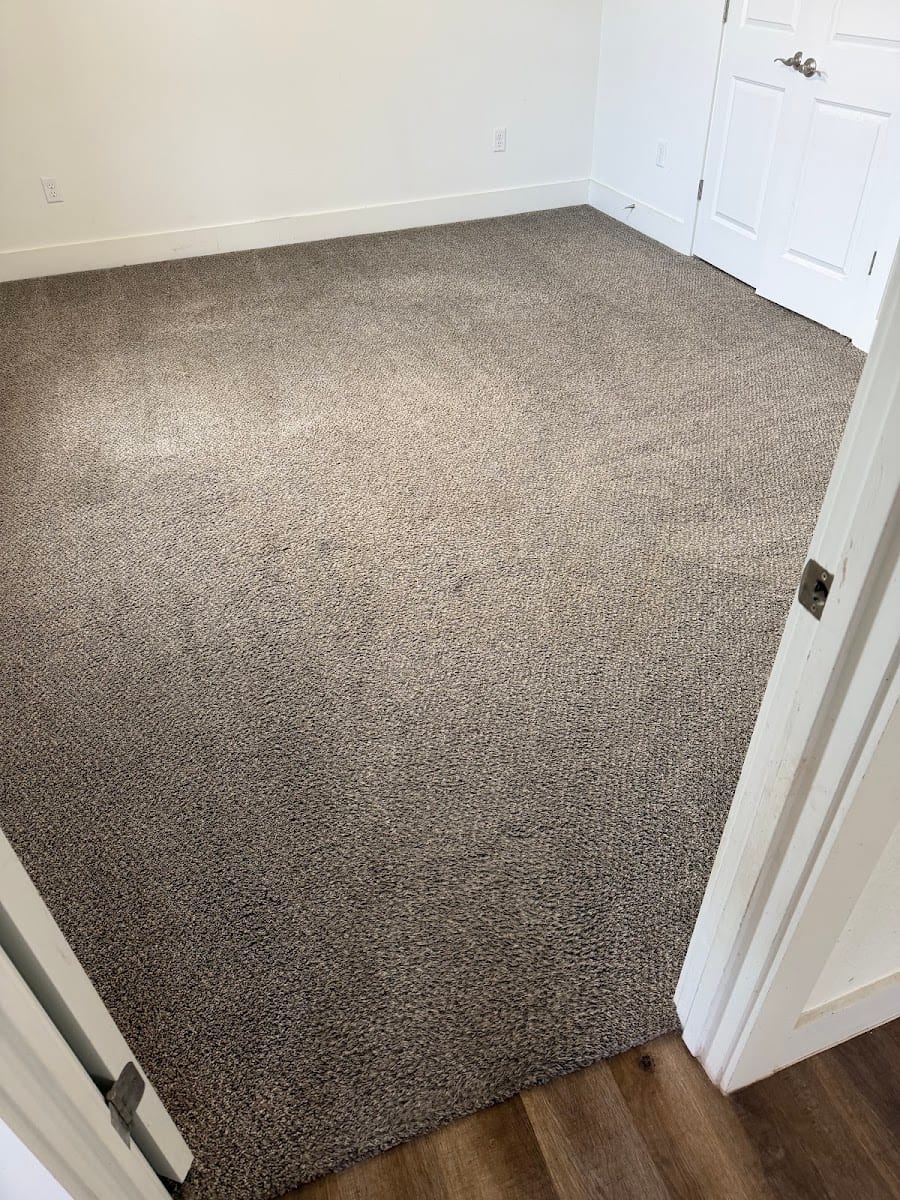 Carpet Shield