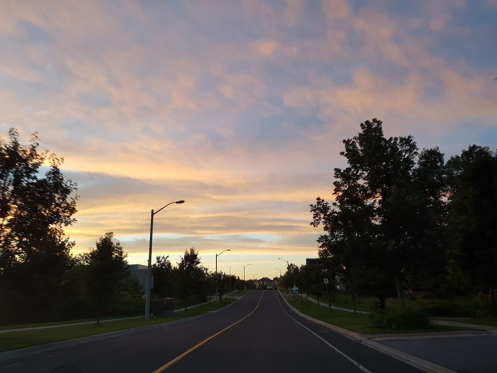 Cardinal Woods Park, photo 2
