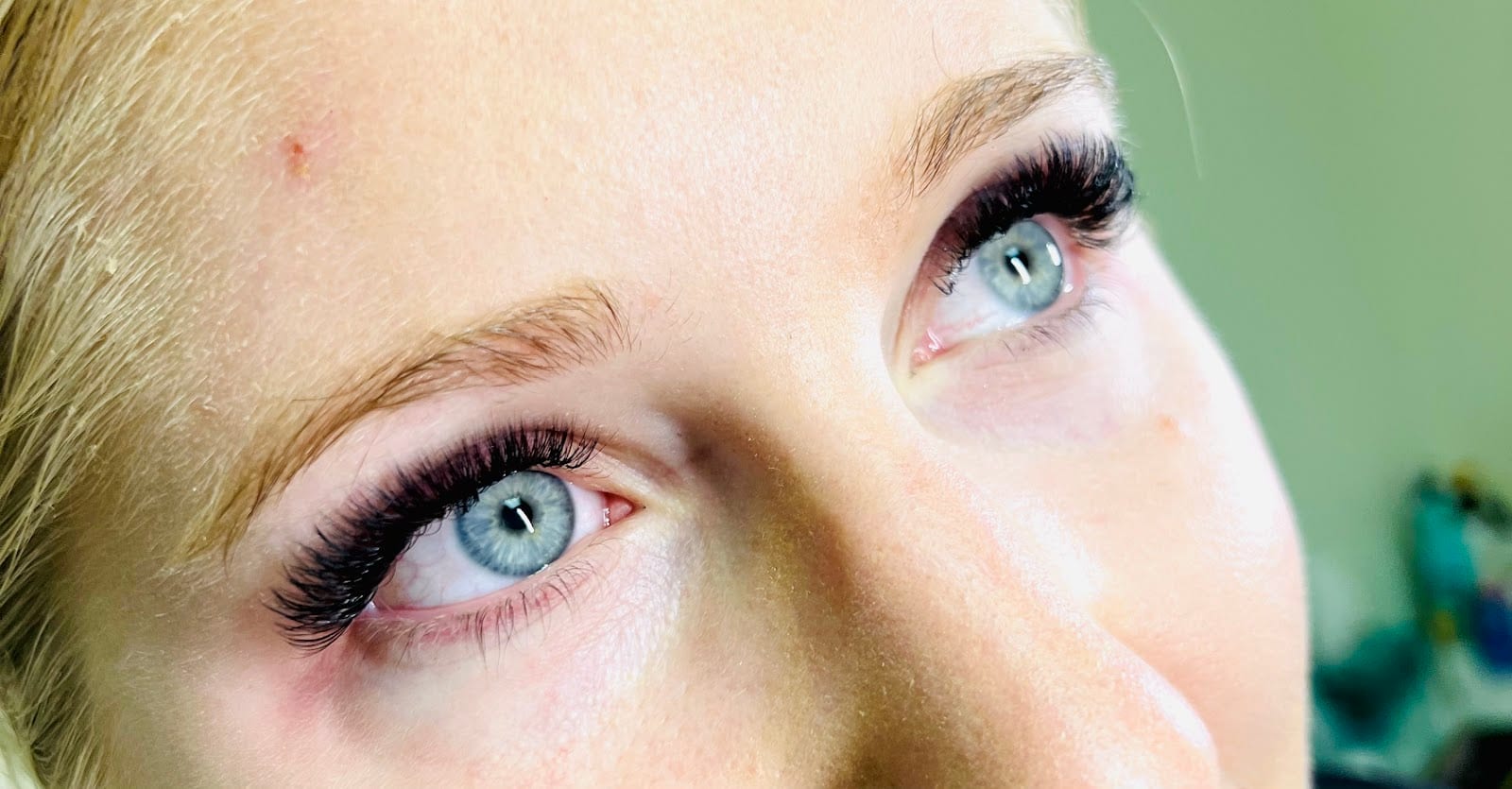 Venice Brows & Lashes