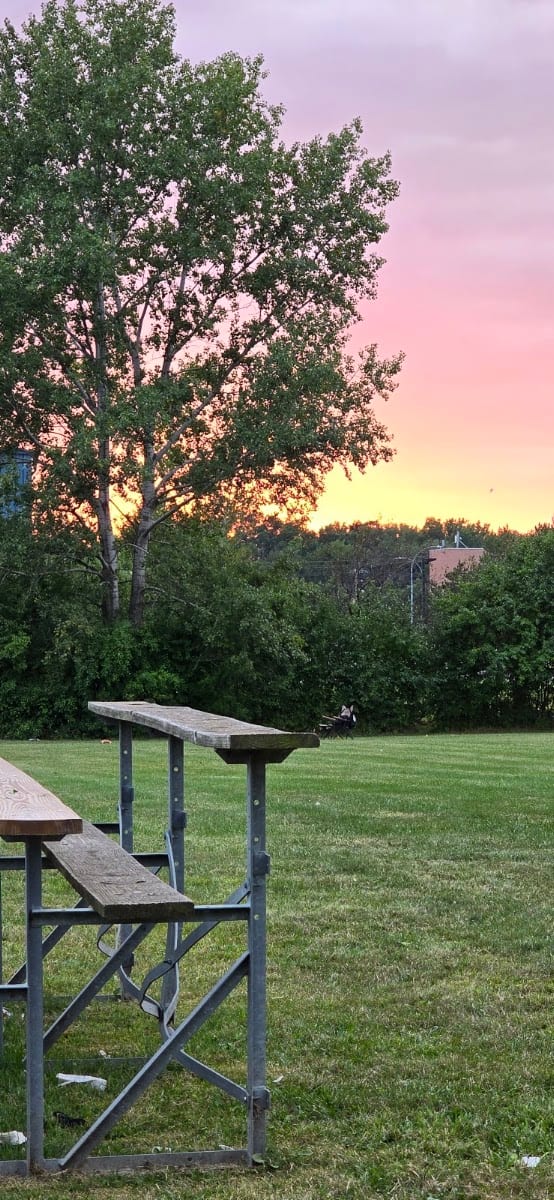 La Grange Park, photo 3