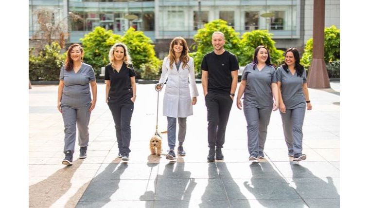 Skoulas DDS - The SF Cosmetic Dentist, photo 2