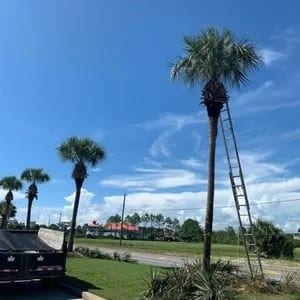 Diaz irrrigation landscaping, photo 4