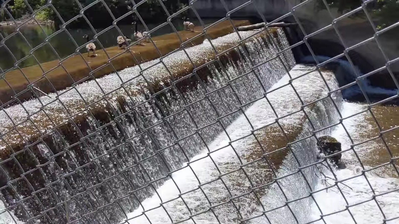 Second Dam, photo 2