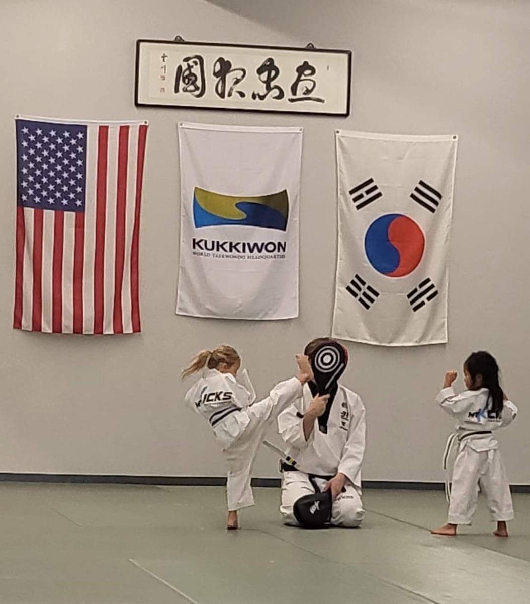 Mt Kicks TaeKwonDo & Martial Arts, photo 3