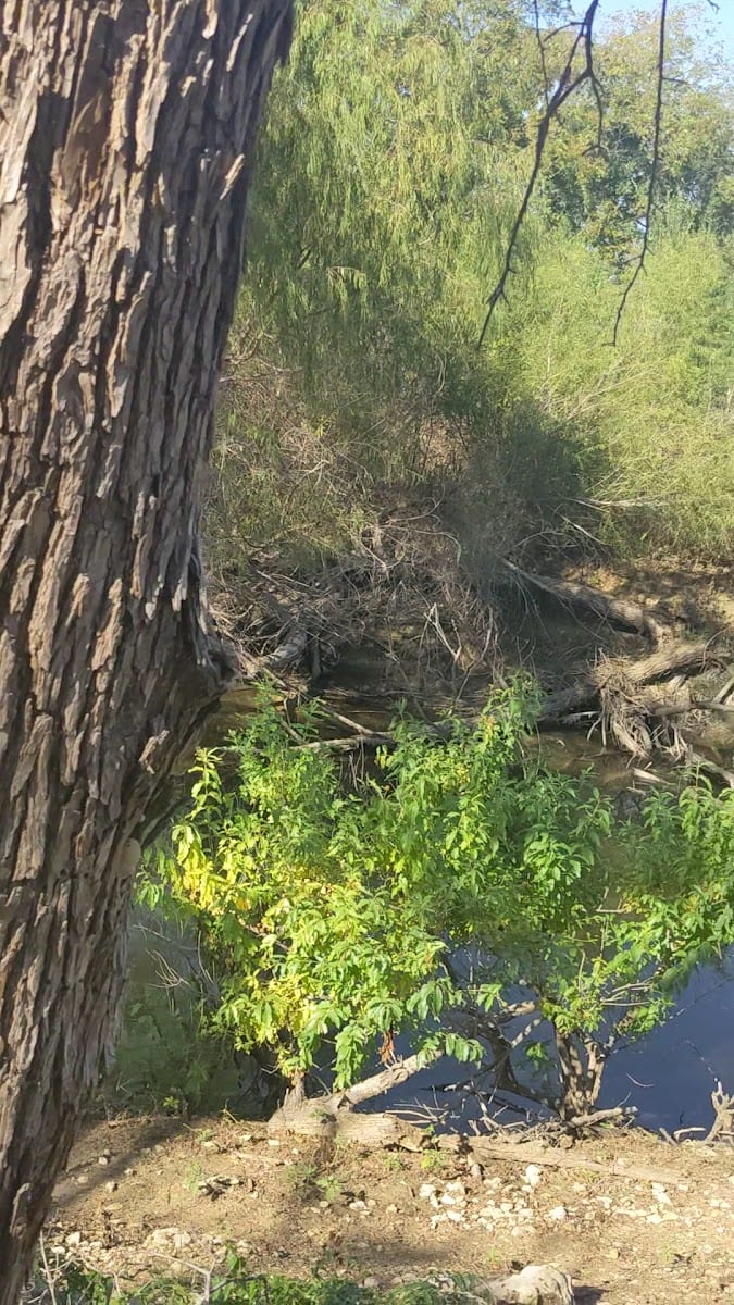 Knob Hills Bike Trail, photo 2