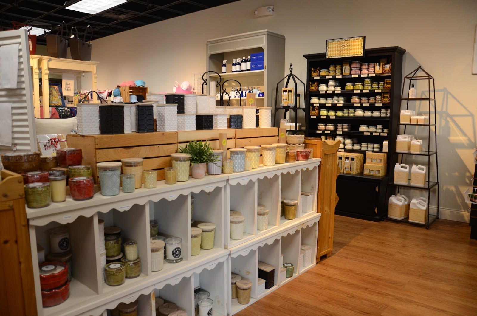 Daisy Lane Gifts