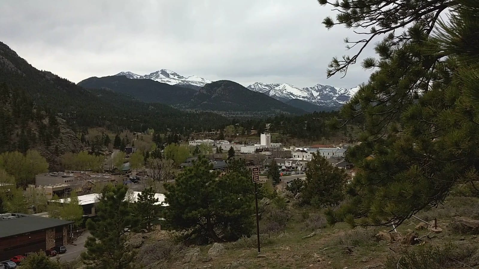 Knoll-Willows Open Space, photo 2