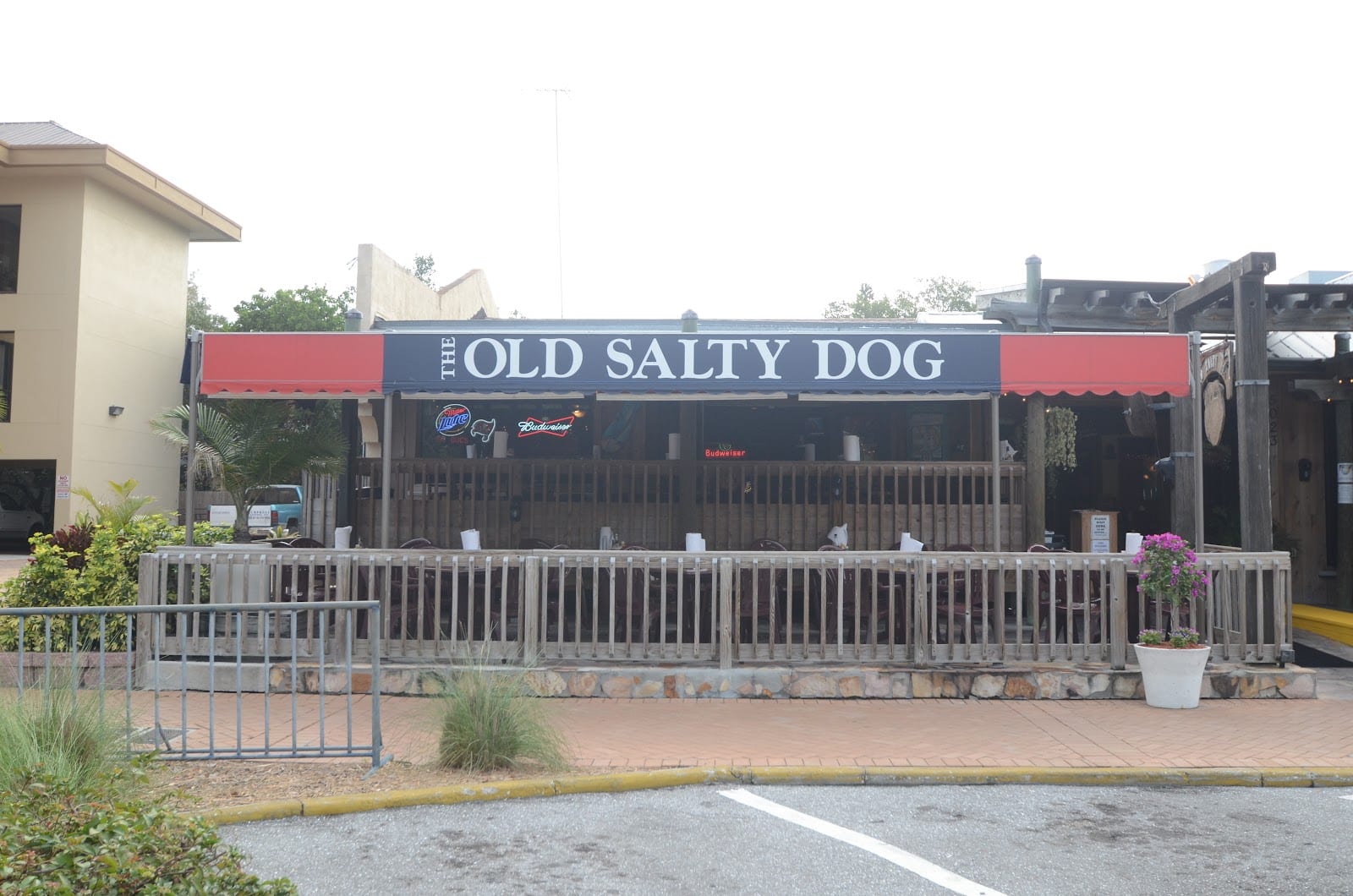 The Old Salty Dog Siesta Key, photo 3